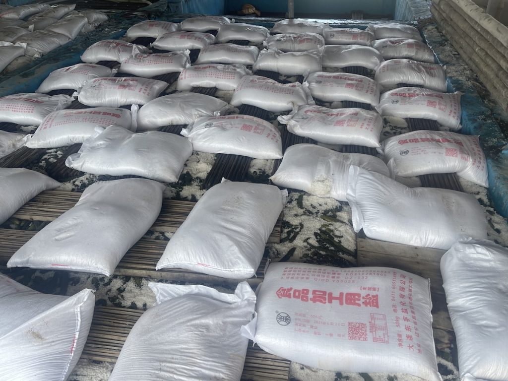 Large stock of food grade pickling salt stored in the pickling pool workshop, used for bulk pickling and preserving fresh cucumbers and vegetables before export