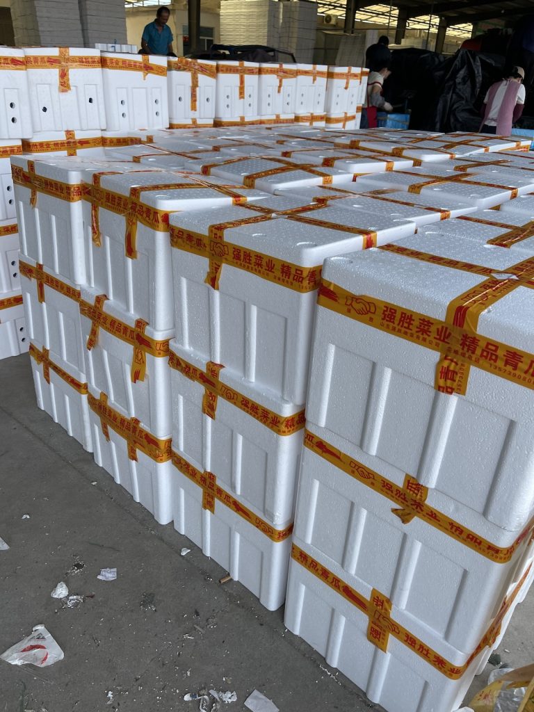 Stacked export foam boxes filled with fresh spiny greenhouse cucumbers, ready for overseas bulk shipment to global importers.