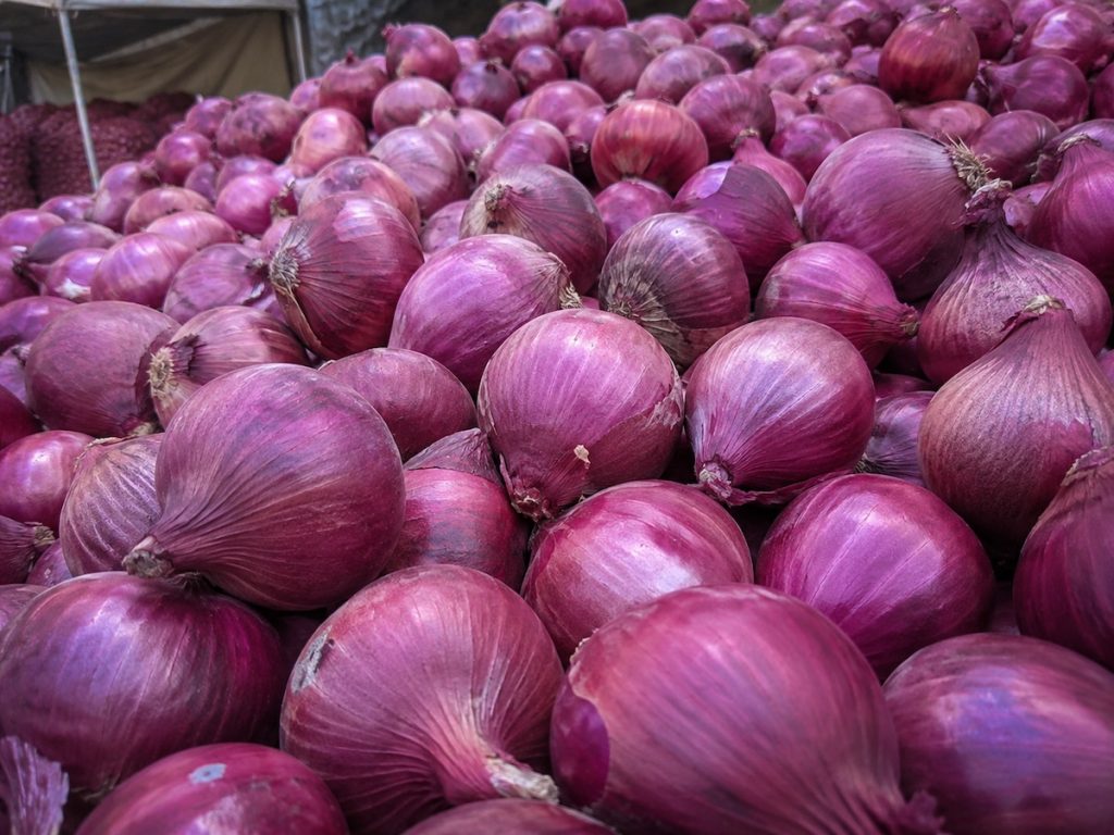 Fresh red onions from Shandong China, bulk wholesale export vegetables
